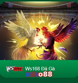 miso88