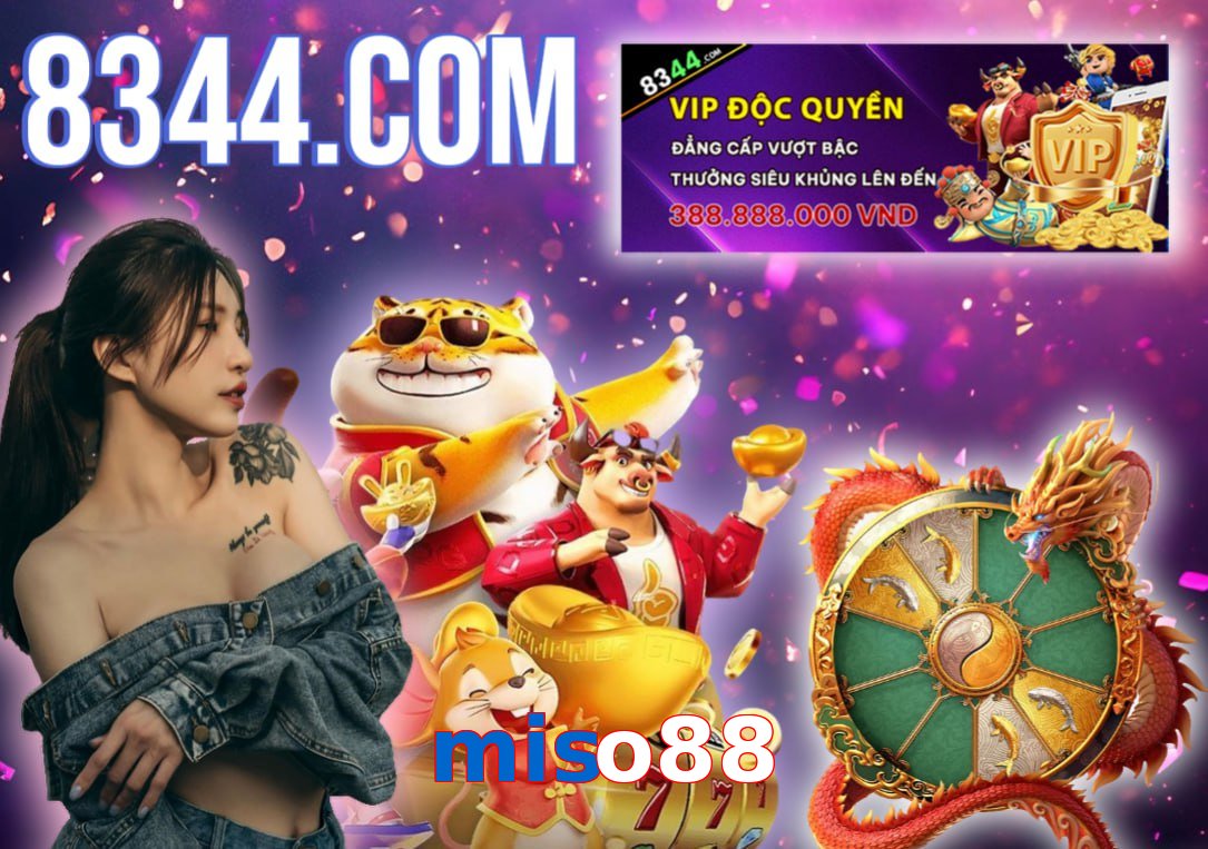 miso88