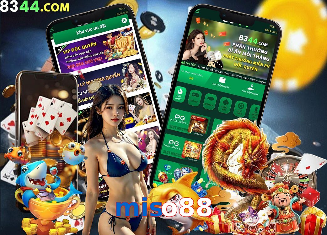 miso88