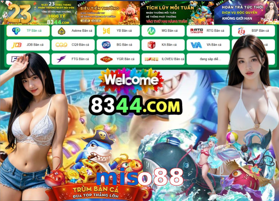 miso88